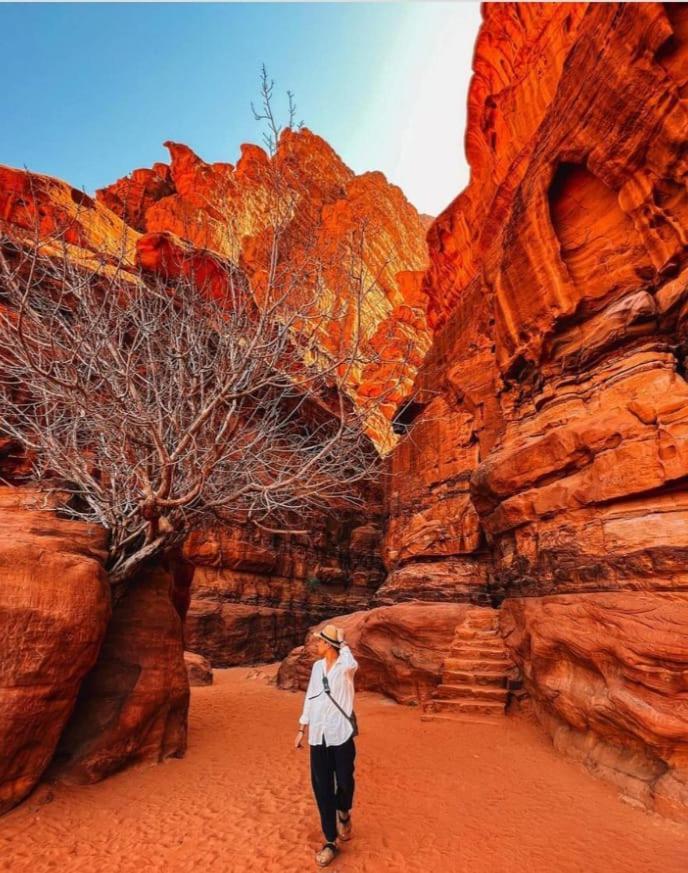 Saleem With Jeep Tour Leilighet Wadi Rum Eksteriør bilde