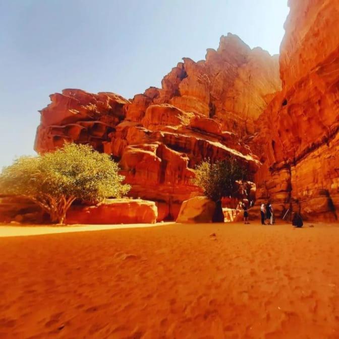 Saleem With Jeep Tour Leilighet Wadi Rum Eksteriør bilde